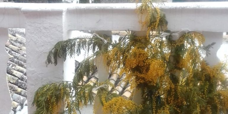 Imagen de WhatsApp 2024-08-04 a las 13.39.34_bdde18f5